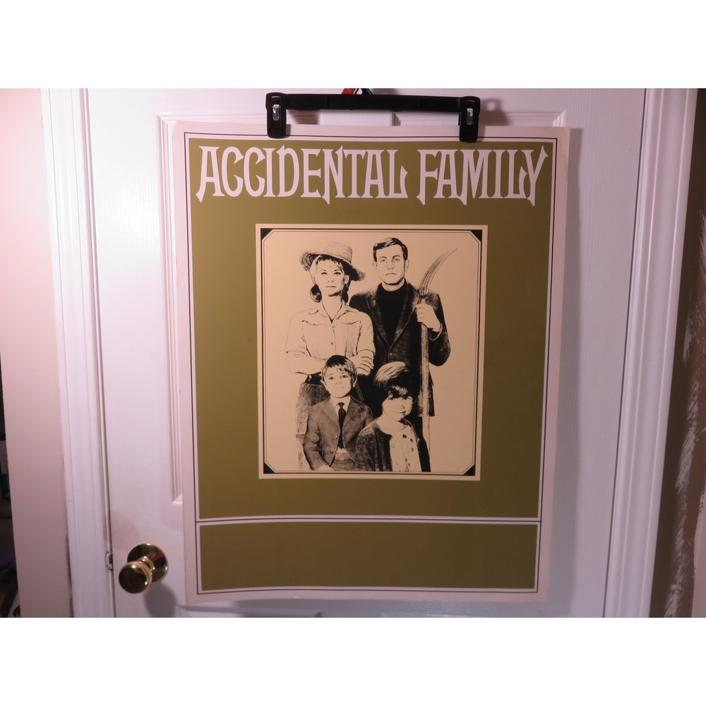 Vintage 1967 Accidental Family NBC TV Show Promo Poster Jerry Van Dyke Olive